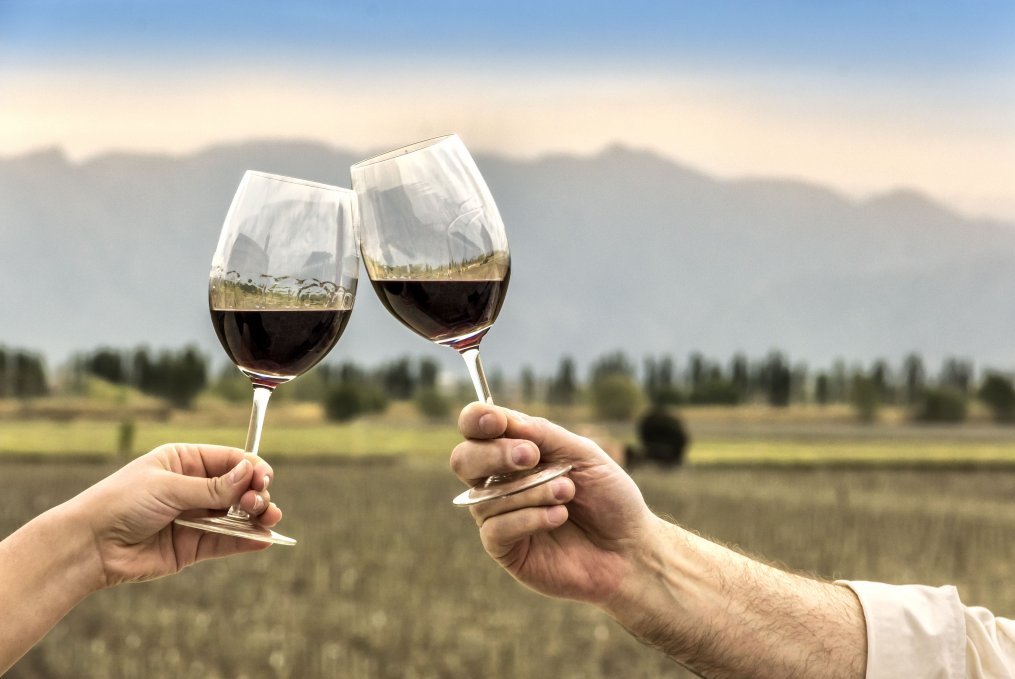 Private wine tasting in Mendoza
