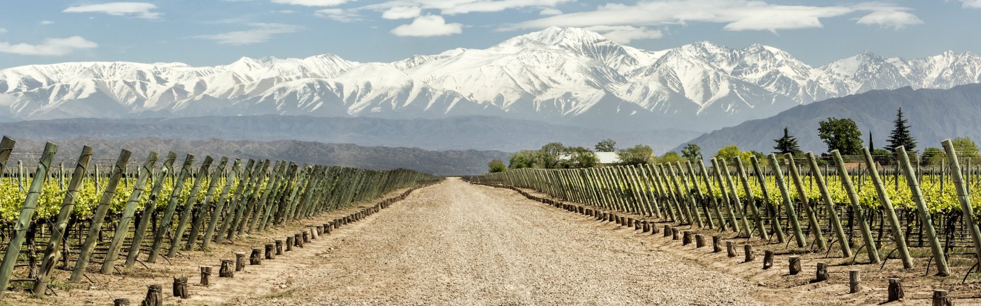 Mendoza